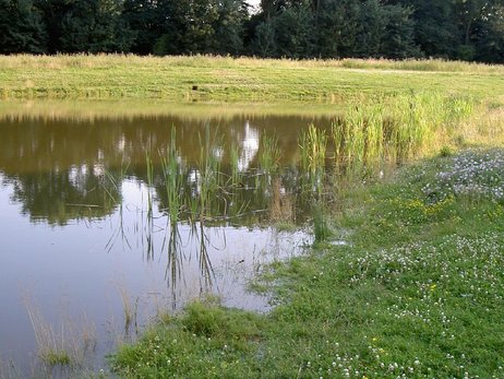 Klicken sie auf das Photo, um das Original zu sehen